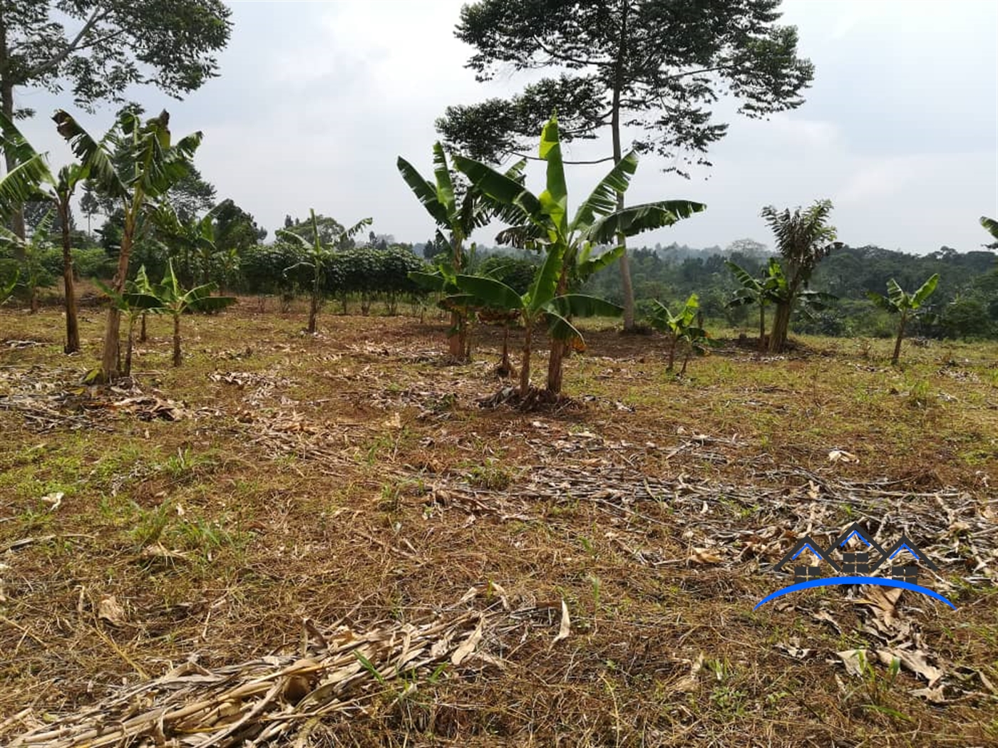 Residential Land for sale in Mpoma Mukono