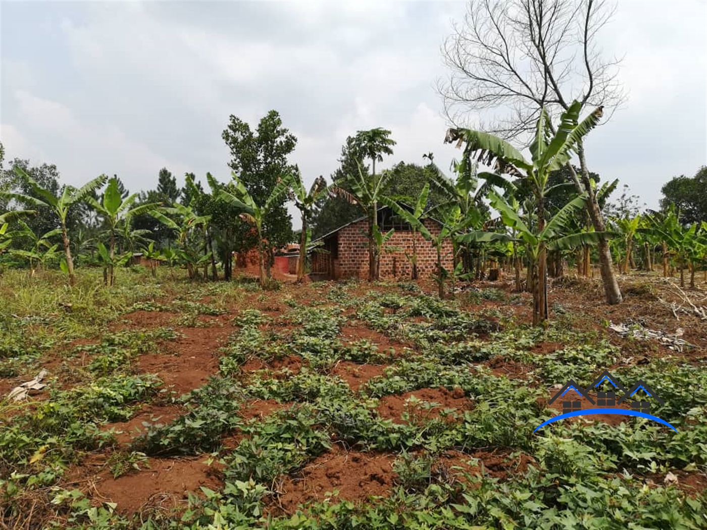 Residential Land for sale in Mpoma Mukono