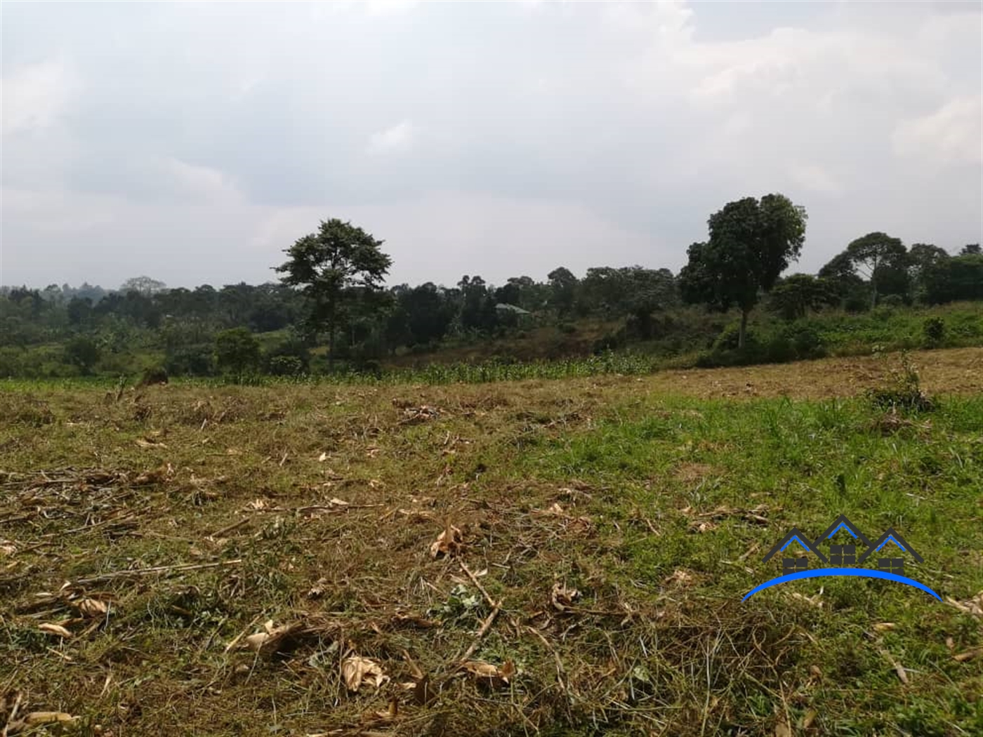 Residential Land for sale in Mpoma Mukono