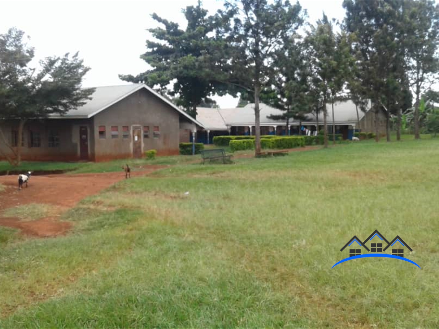 School for sale in Njeru Jinja