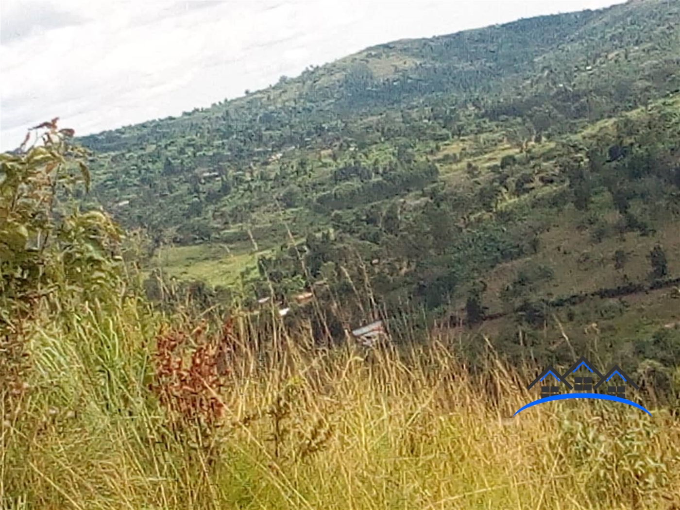 Agricultural Land for sale in Kiganda Mubende