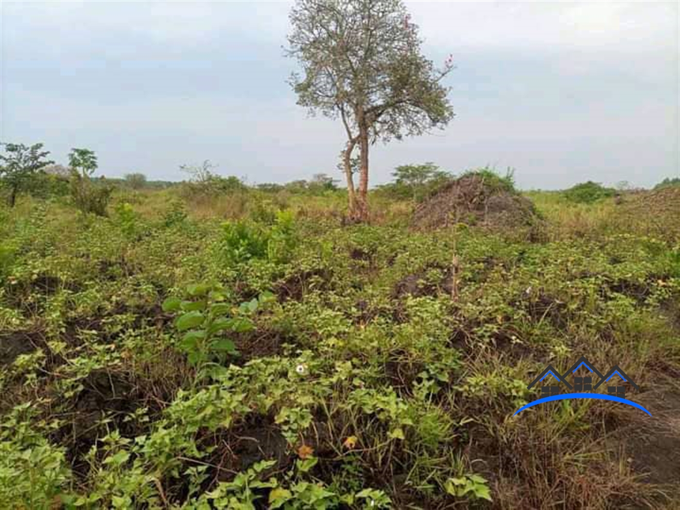 Residential Land for sale in Ziloobwe Luweero