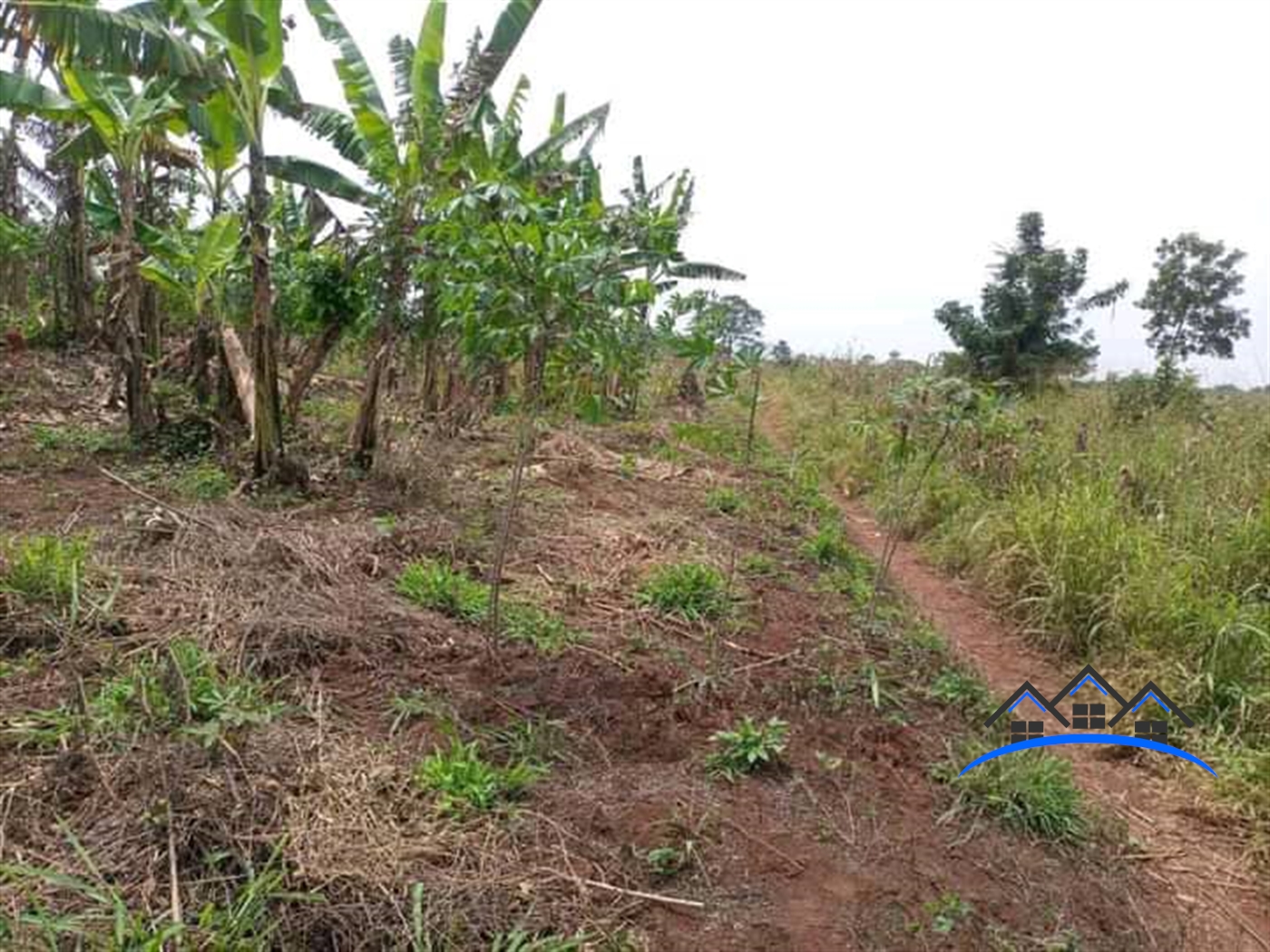 Residential Land for sale in Ziloobwe Luweero