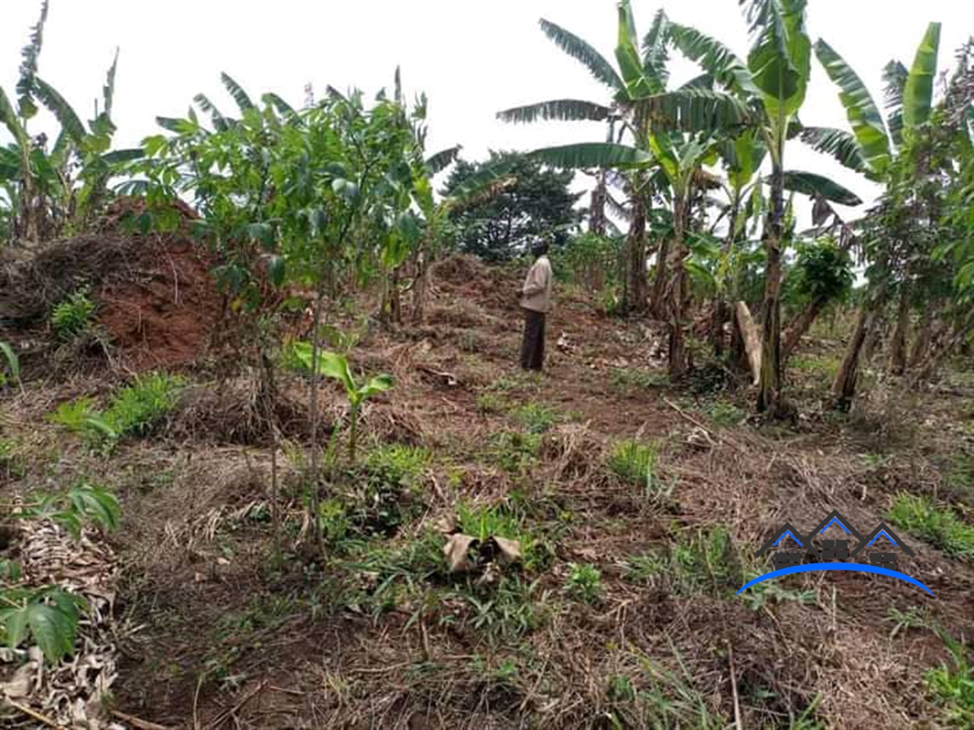 Residential Land for sale in Ziloobwe Luweero