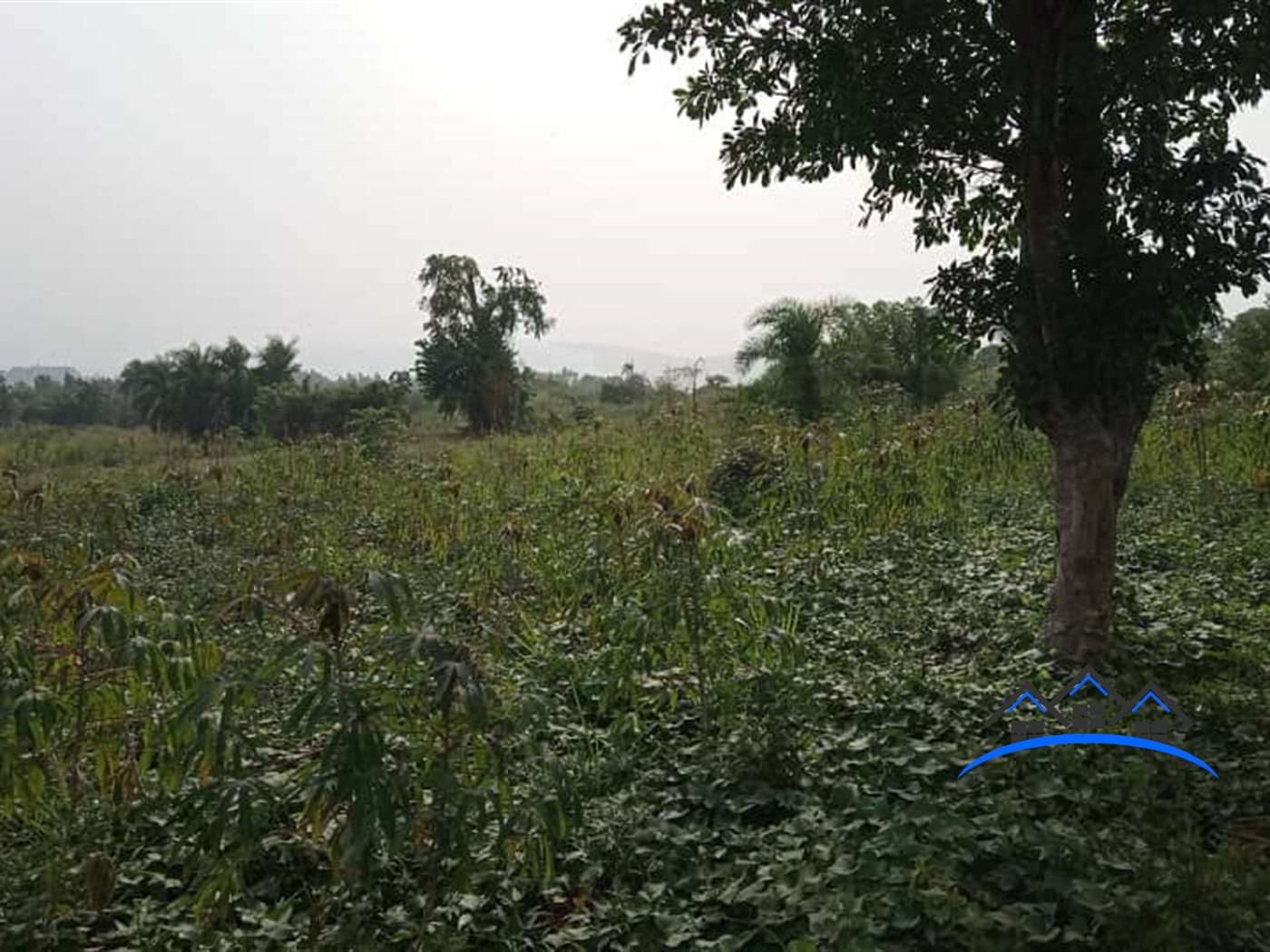 Agricultural Land for sale in Cbd Nakaseke