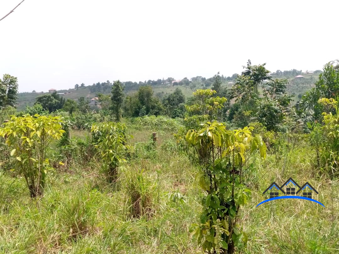 Residential Land for sale in Gombe Wakiso