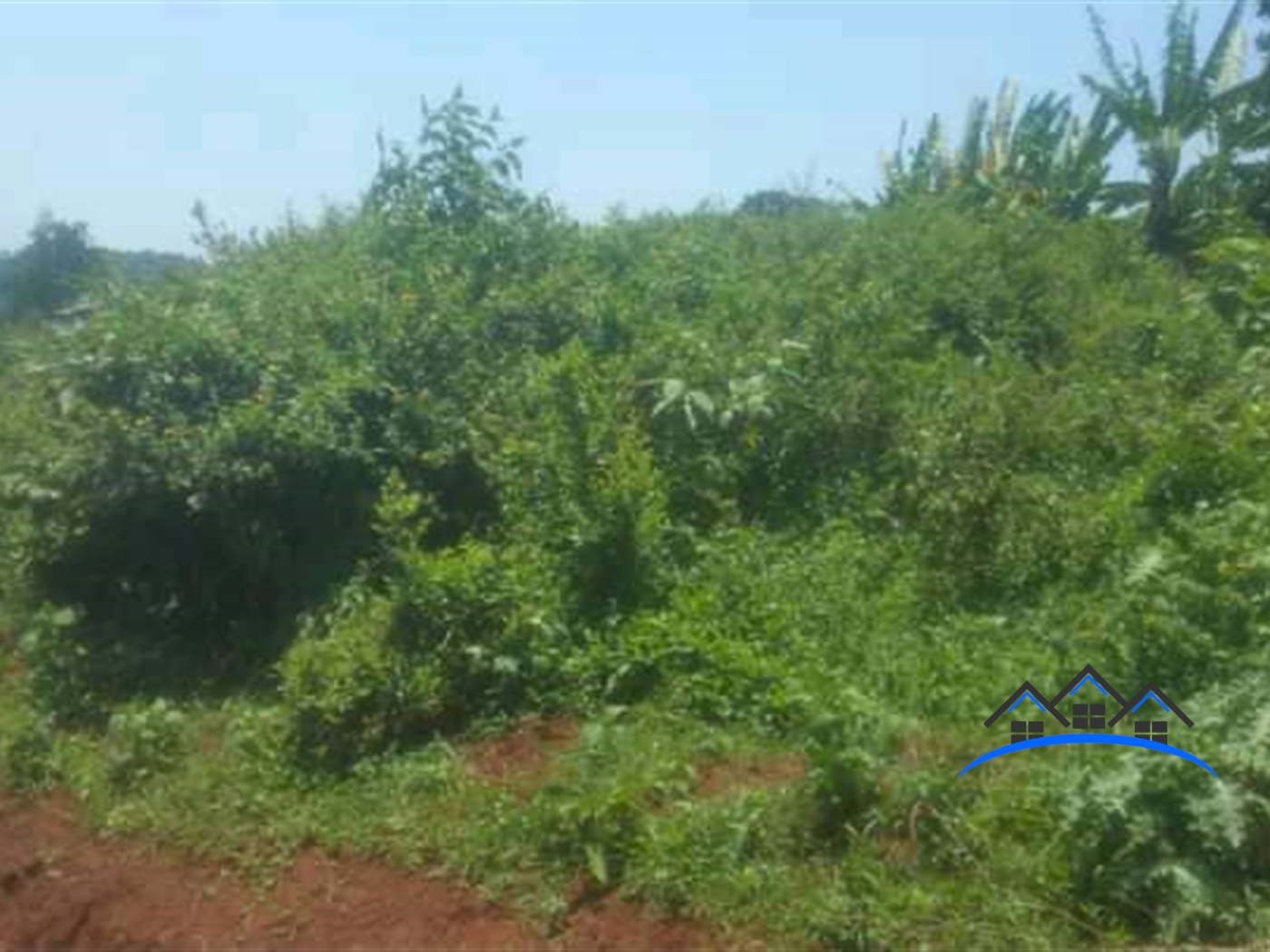 Agricultural Land for sale in Nangunga Buyikwe