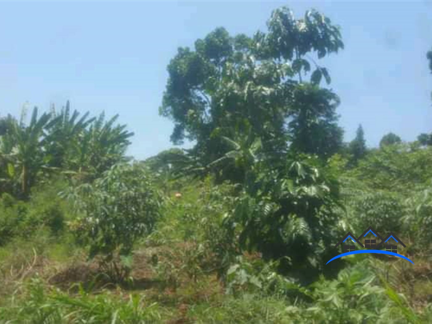 Agricultural Land for sale in Nangunga Buyikwe