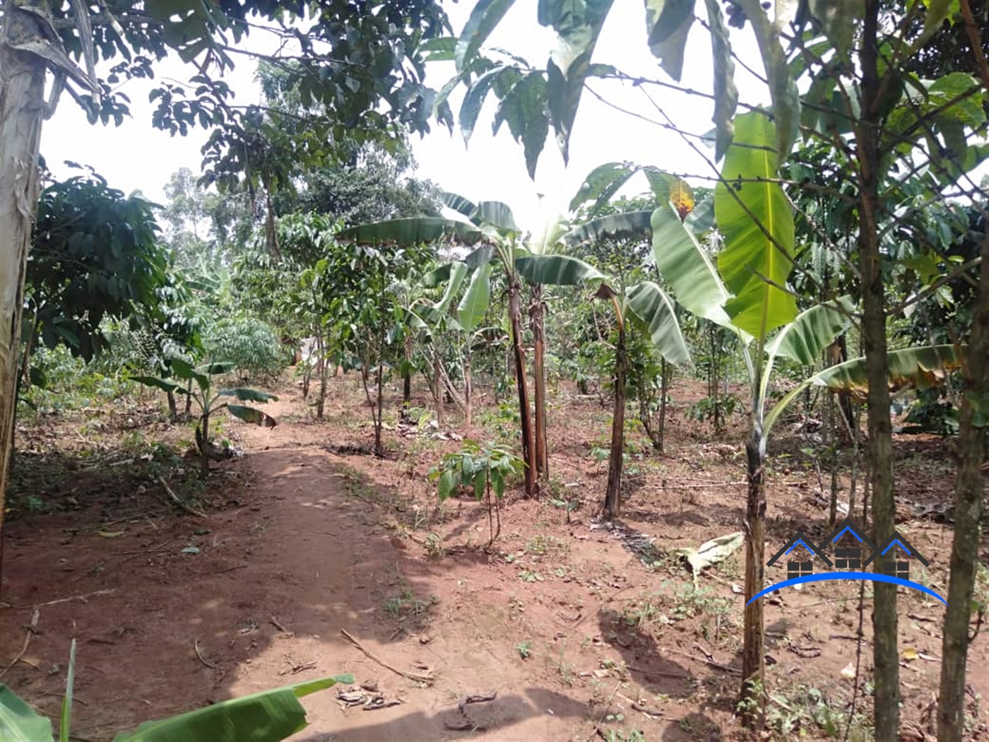 Agricultural Land for sale in Nakawuka Wakiso