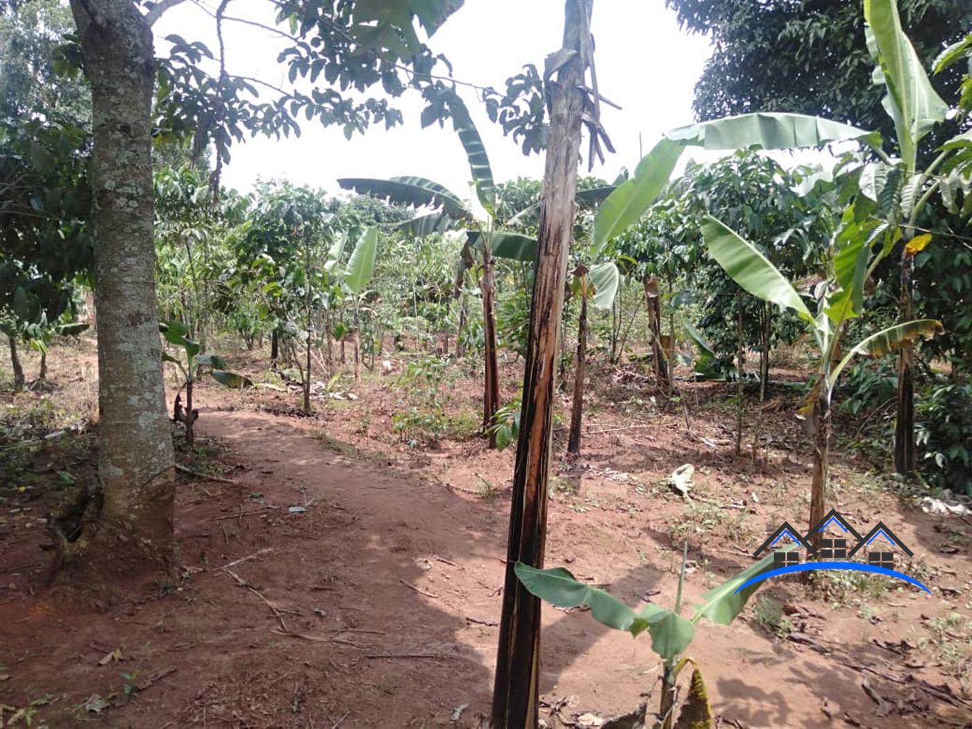 Agricultural Land for sale in Nakawuka Wakiso