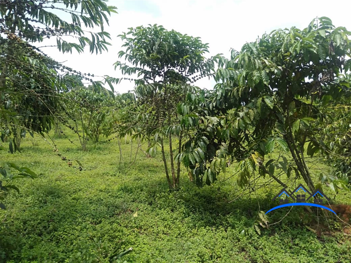 Agricultural Land for sale in Nakawuka Wakiso