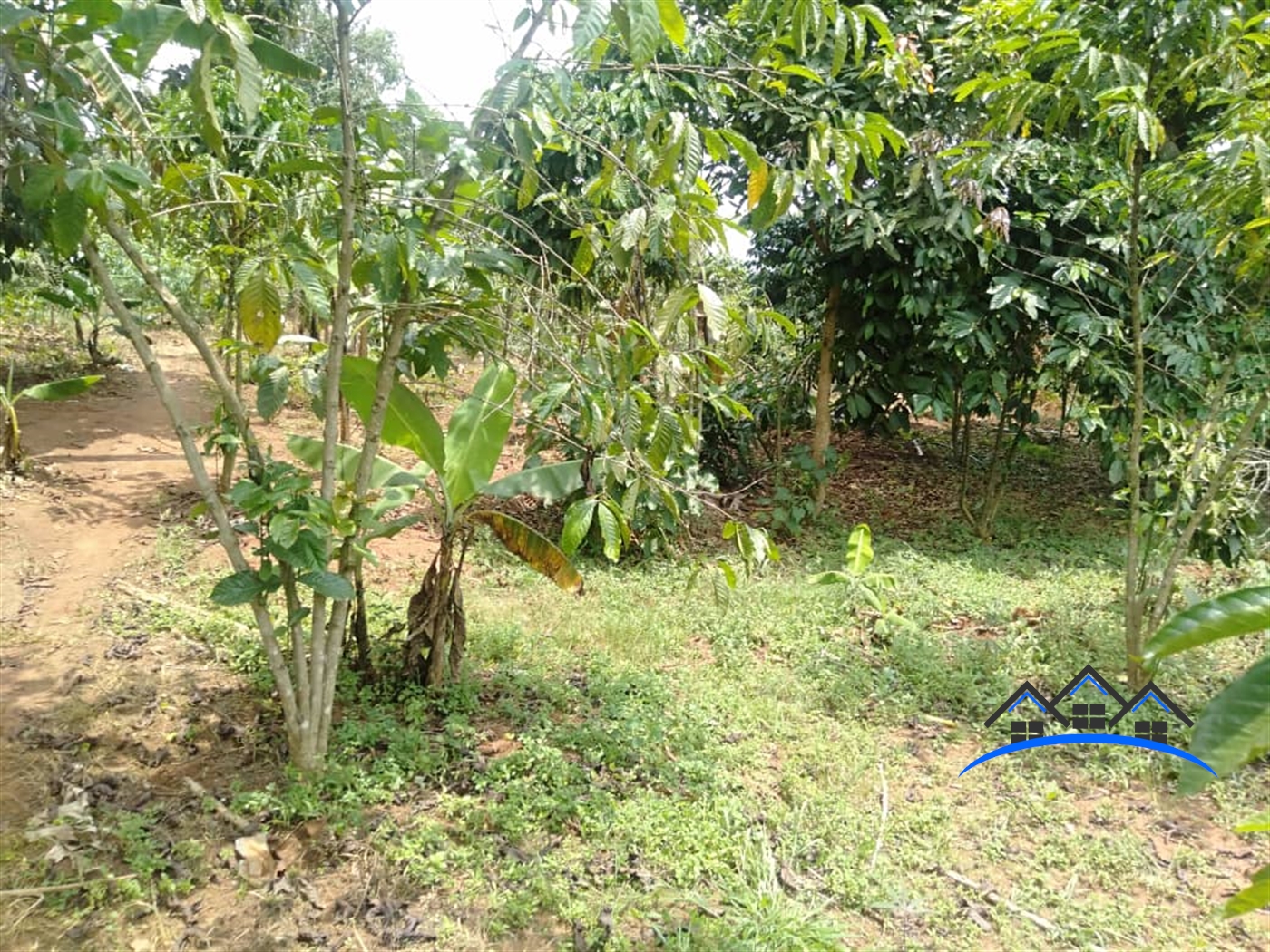 Agricultural Land for sale in Nakawuka Wakiso