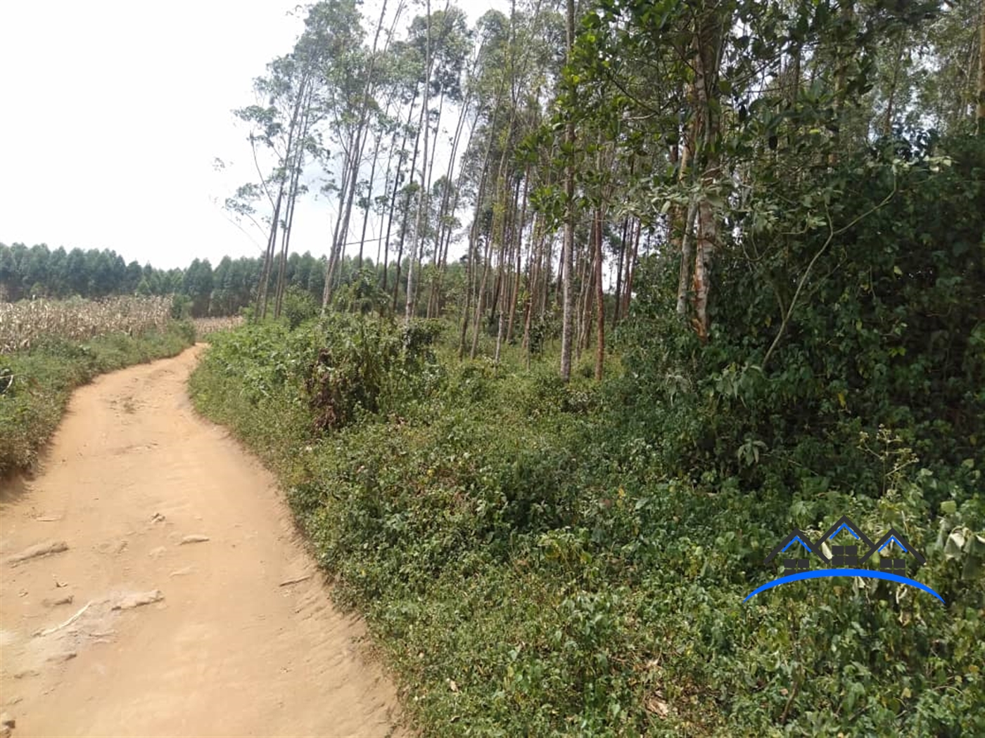 Agricultural Land for sale in Nakawuka Wakiso