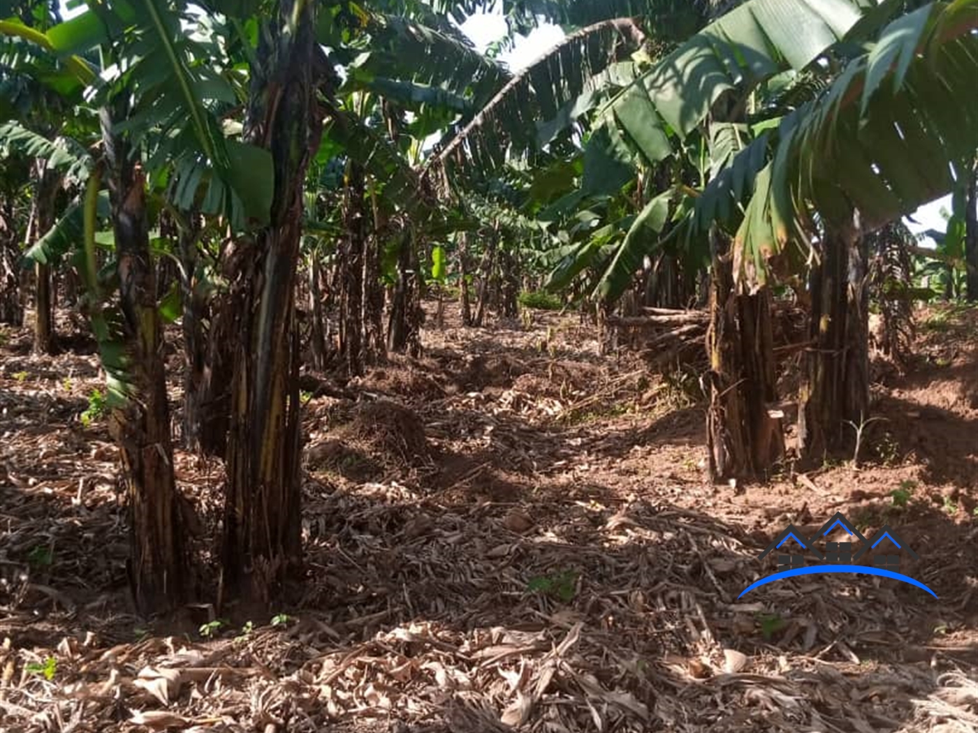 Agricultural Land for sale in Kikwayi Mukono