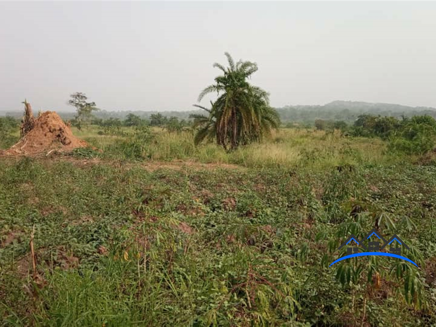 Agricultural Land for sale in Ssemuto Nakaseke