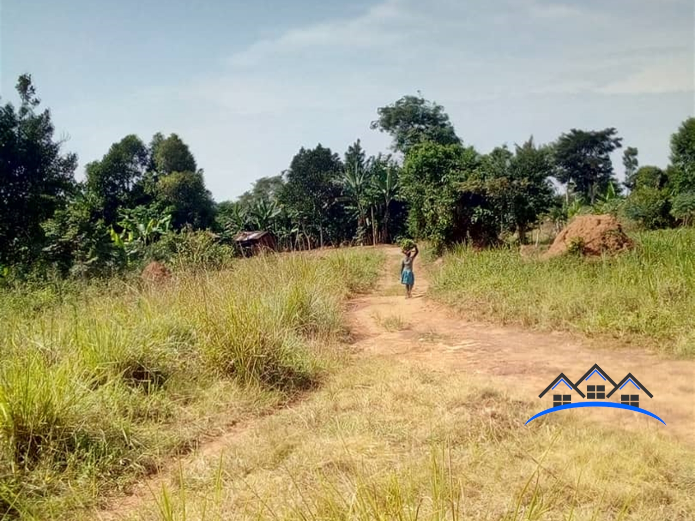 Agricultural Land for sale in Buyege Wakiso