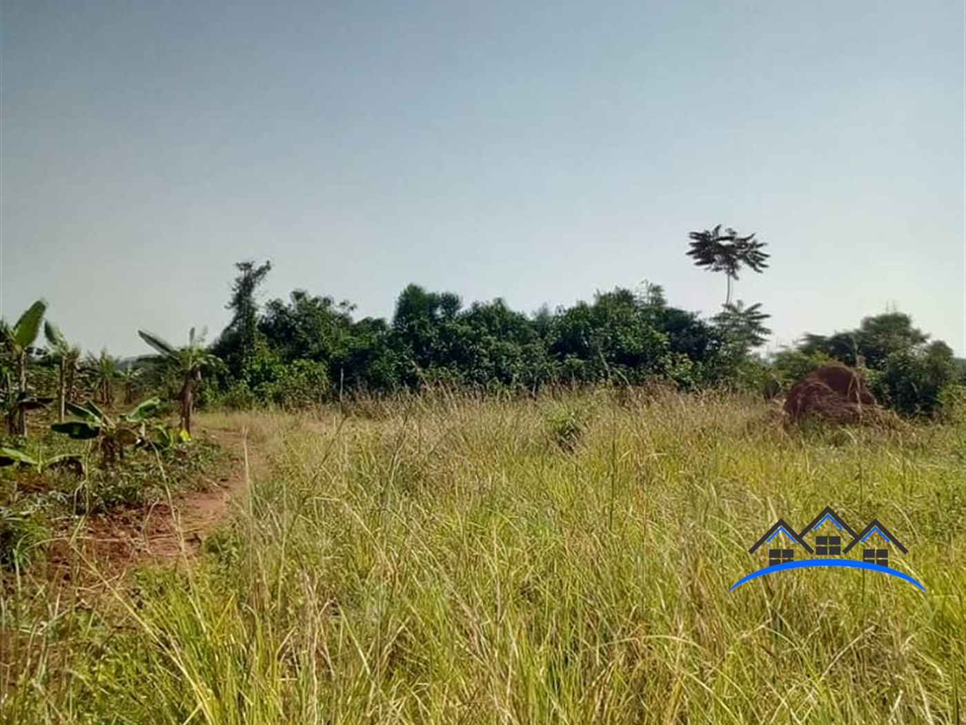 Agricultural Land for sale in Buyege Wakiso