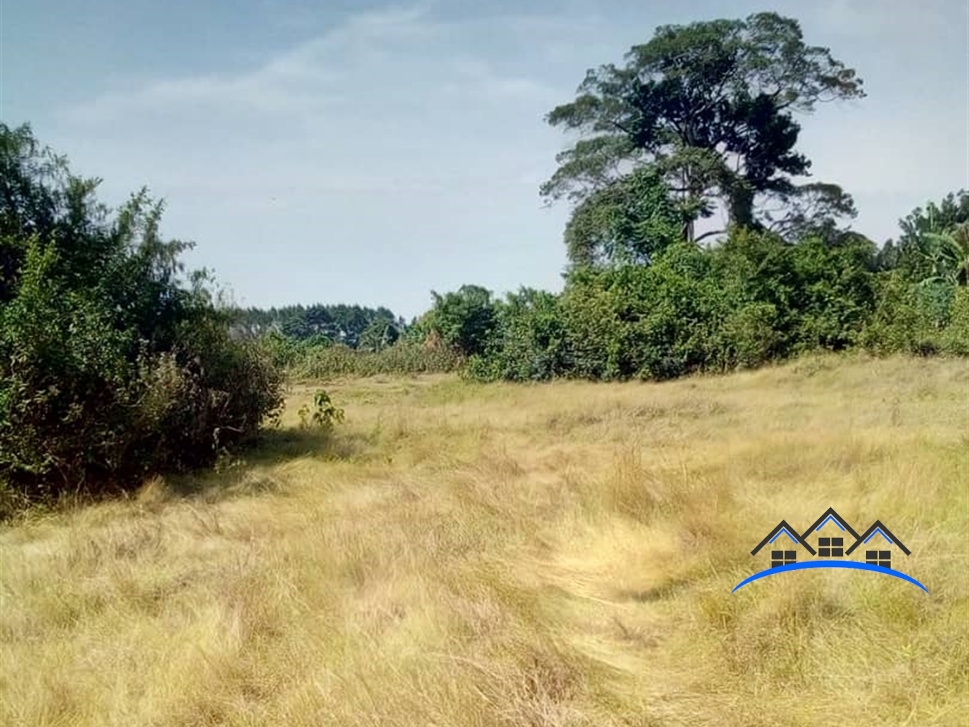 Agricultural Land for sale in Buyege Wakiso