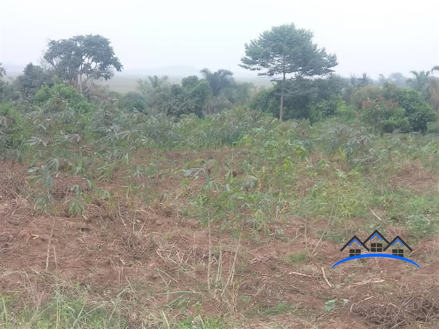 Agricultural Land for sale in Buyege Wakiso