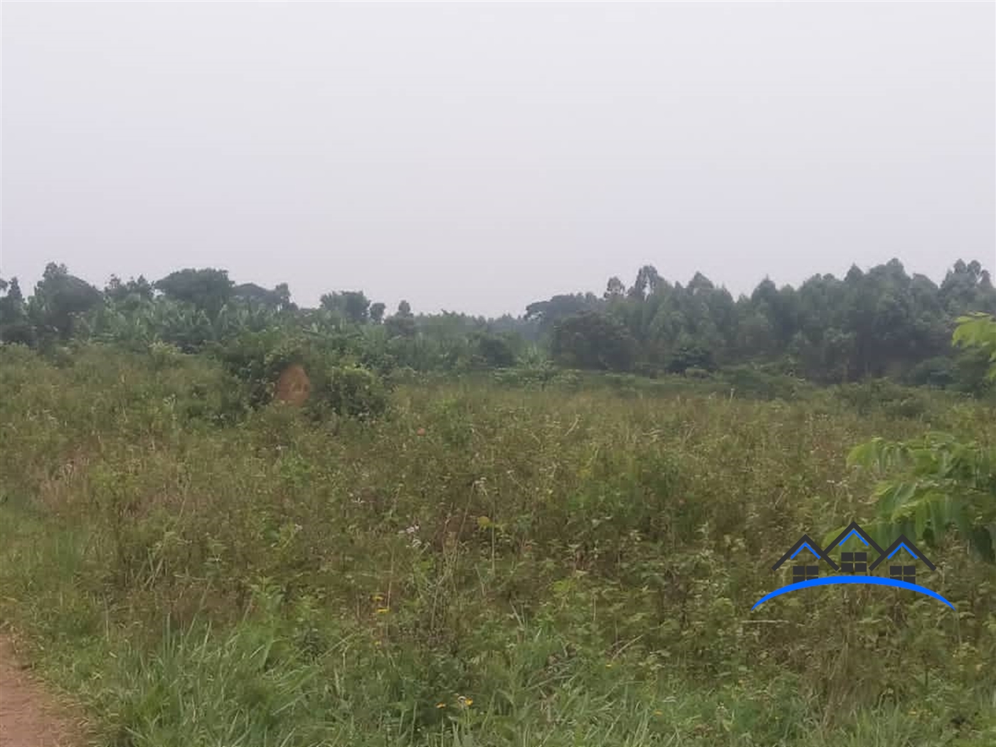 Agricultural Land for sale in Buyege Wakiso