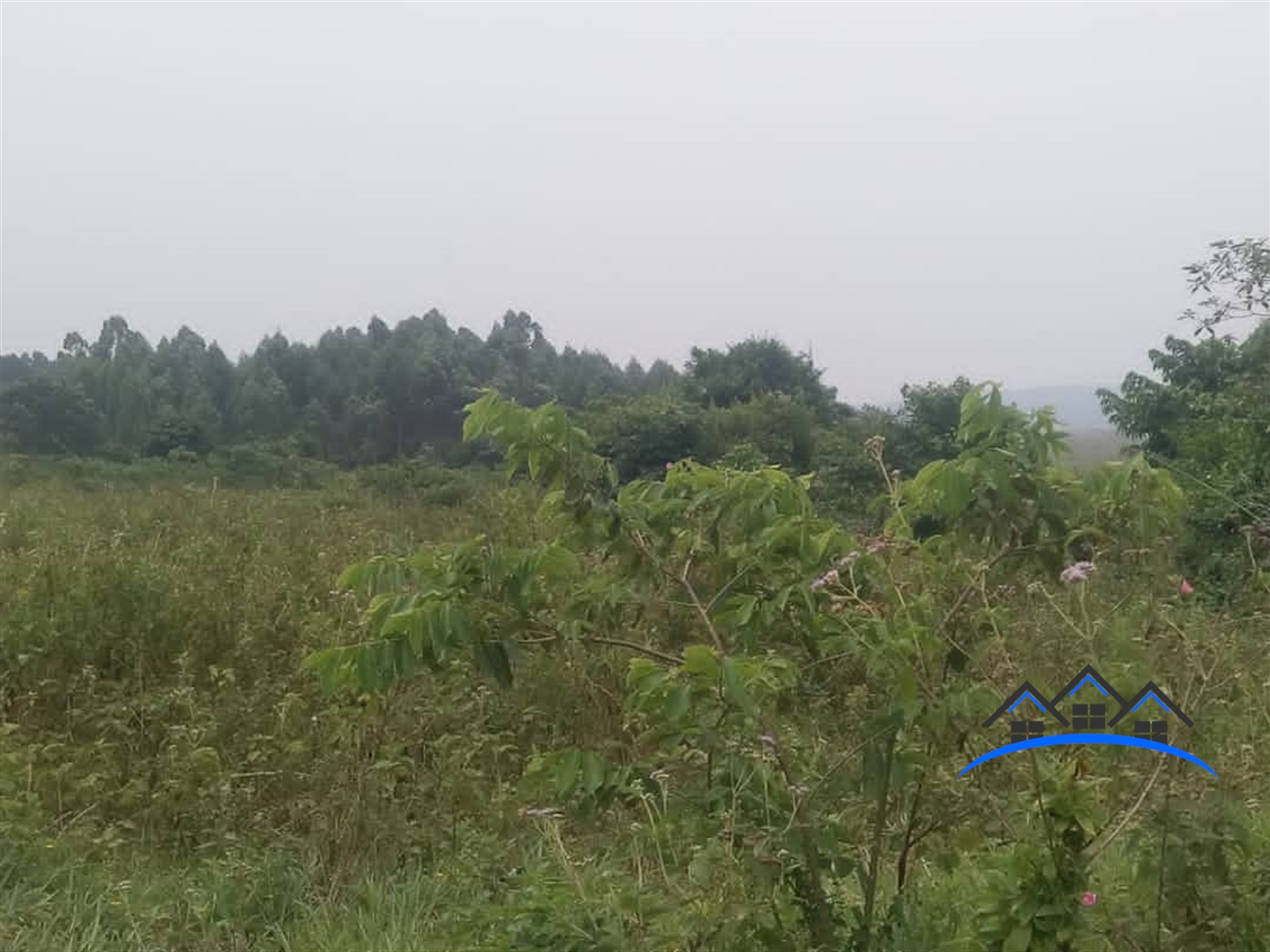 Agricultural Land for sale in Buyege Wakiso