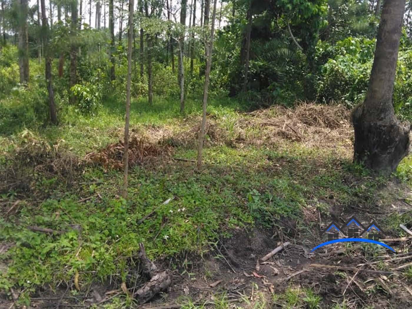 Residential Land for sale in Kanyanda Wakiso