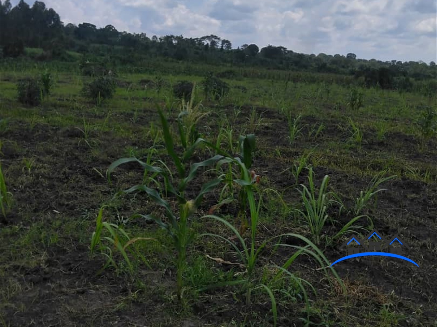 Residential Land for sale in Kanyanda Wakiso