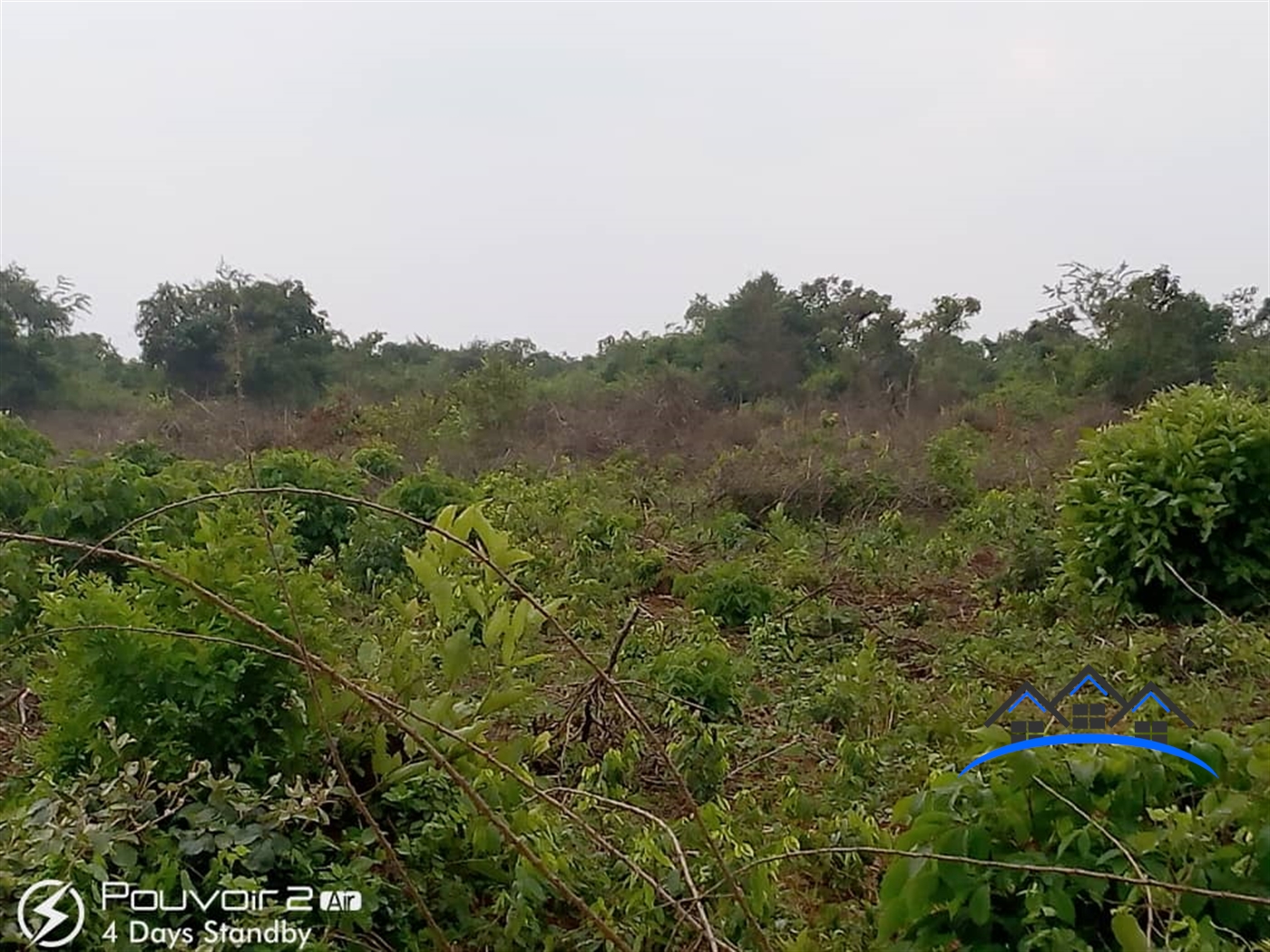 Agricultural Land for sale in Rwamawungu Nakaseke