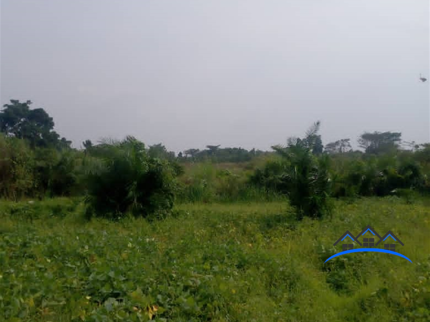 Agricultural Land for sale in Butibulongo Nakaseke