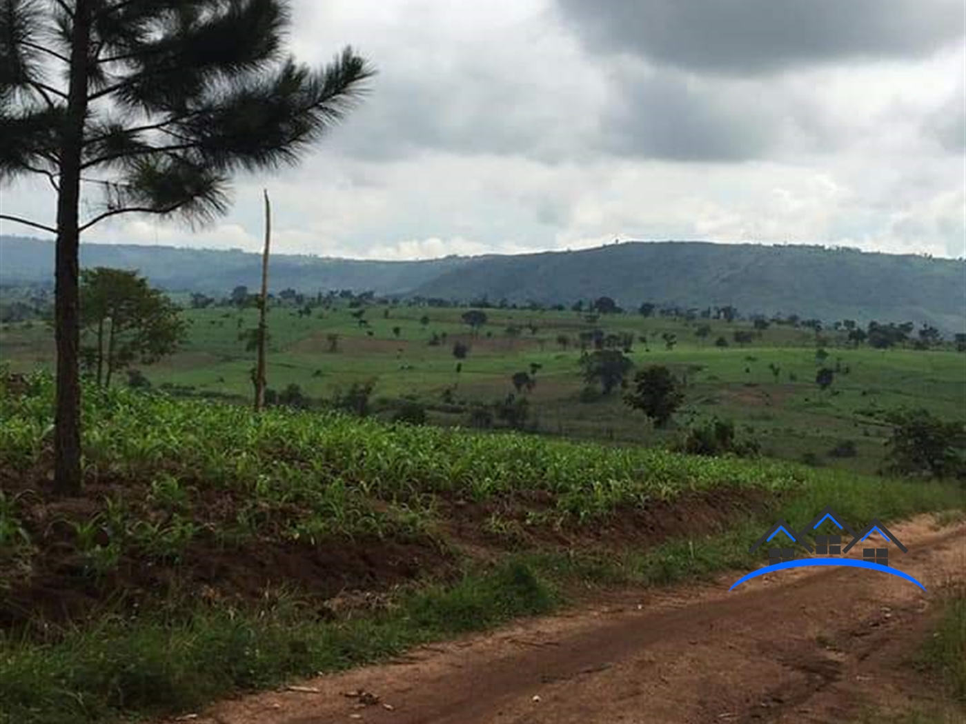 Agricultural Land for sale in Central Mubende