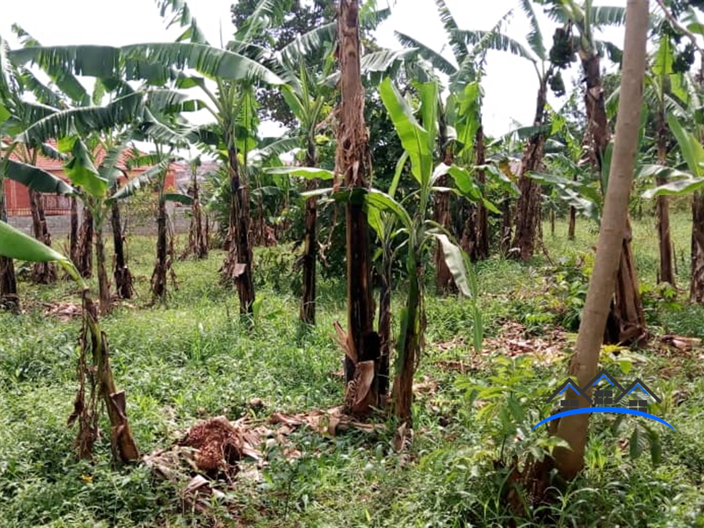 Residential Land for sale in Kulambilo Wakiso