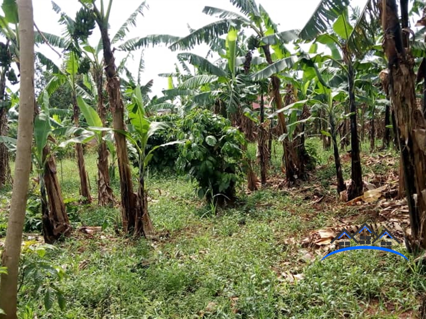 Residential Land for sale in Kulambilo Wakiso