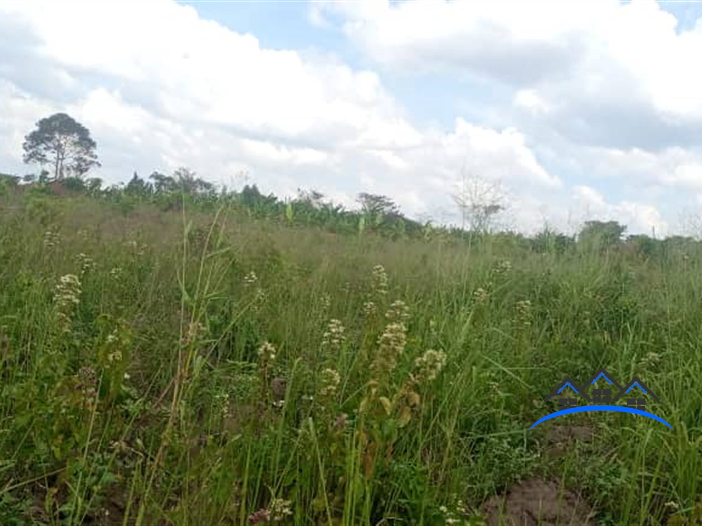 Commercial Land for sale in Amuru Gulu