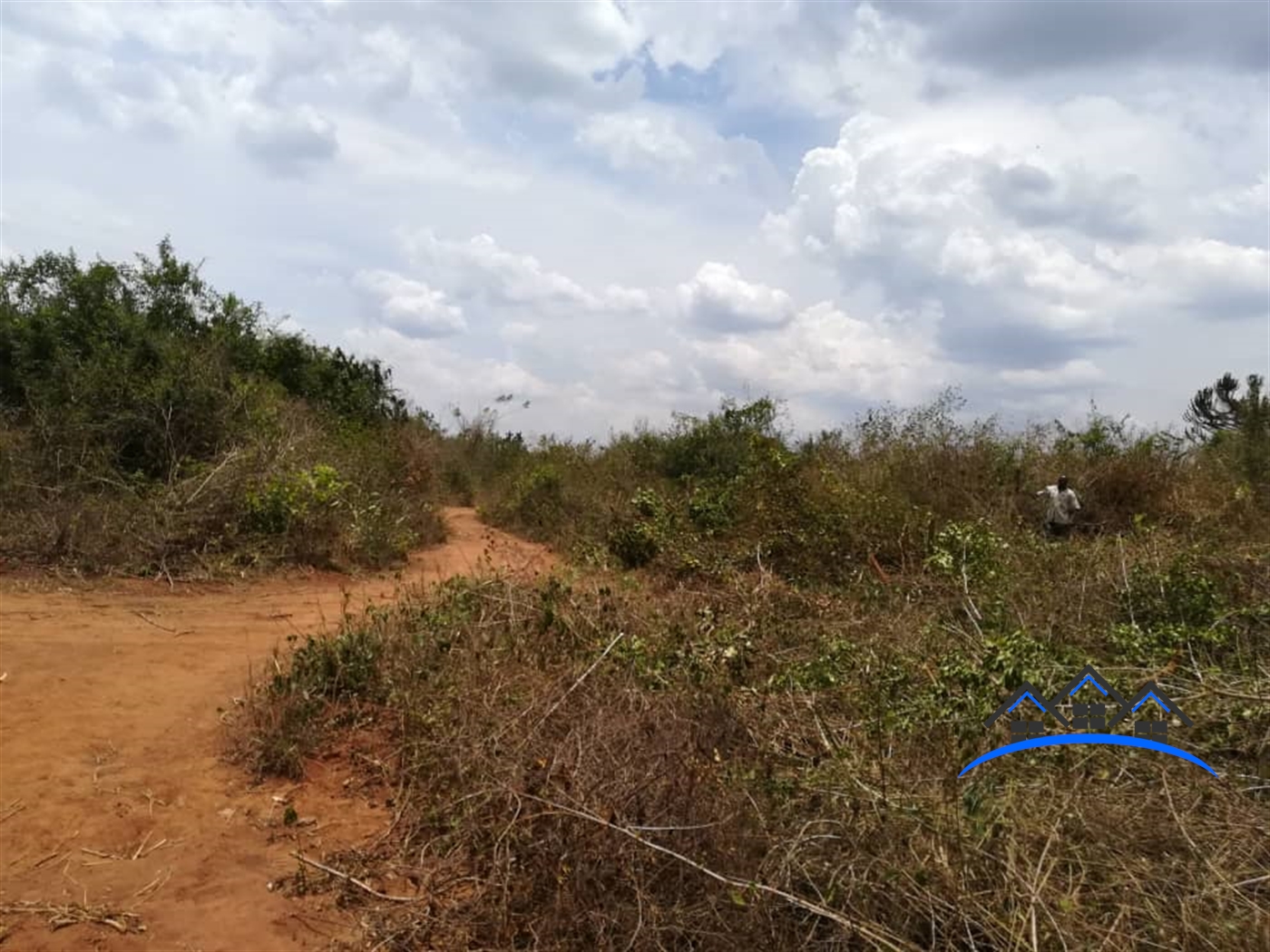 Residential Land for sale in Bbaale Kayunga