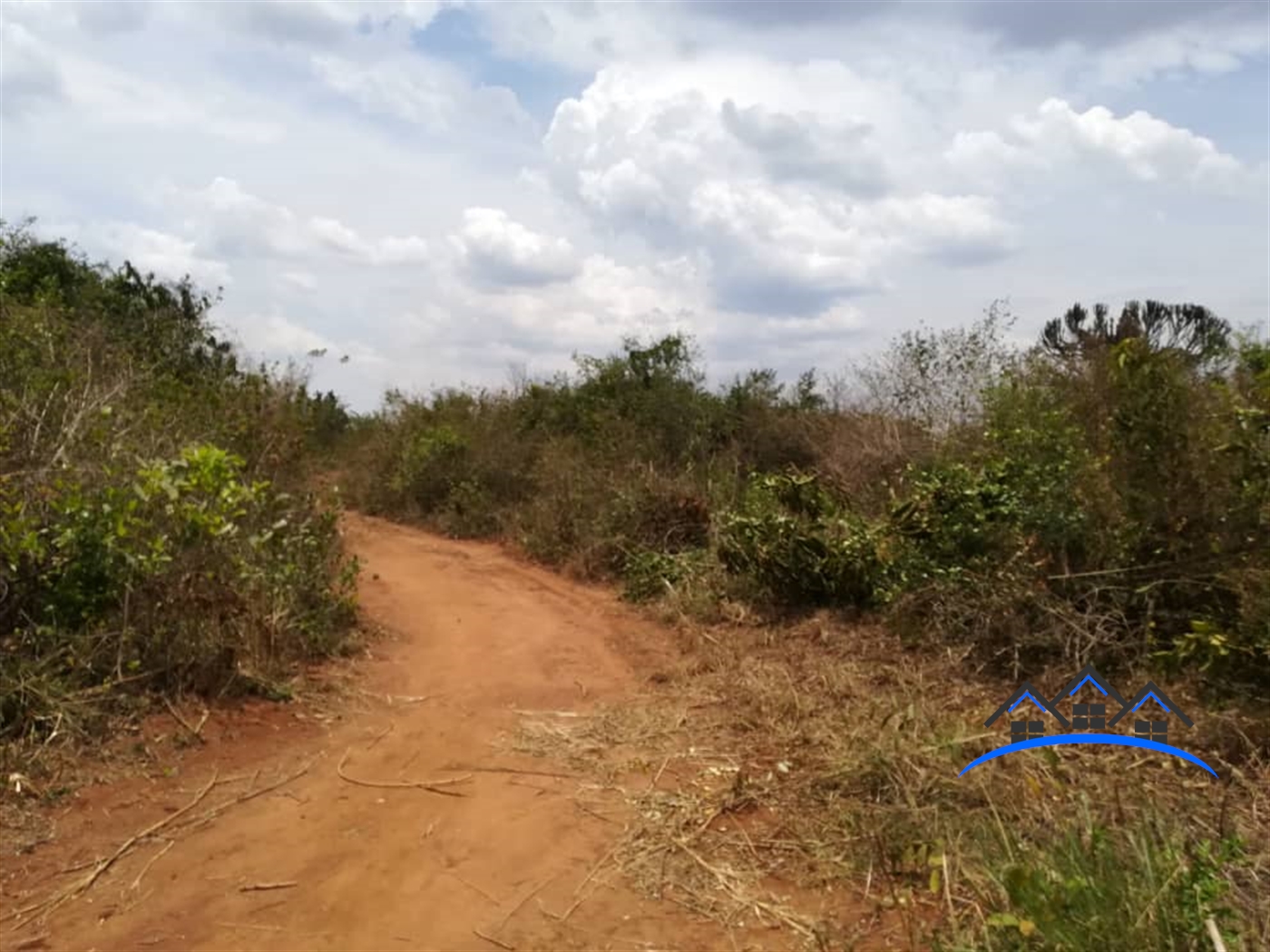 Residential Land for sale in Bbaale Kayunga