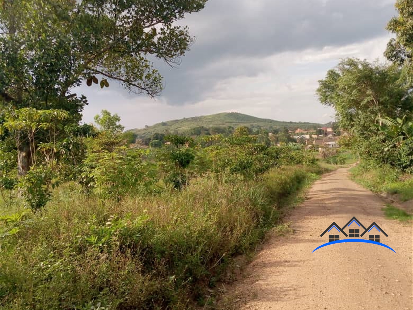 Agricultural Land for sale in Luwube Luweero