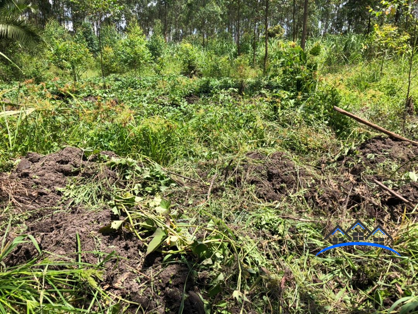 Agricultural Land for sale in Kakooge Nakasongola