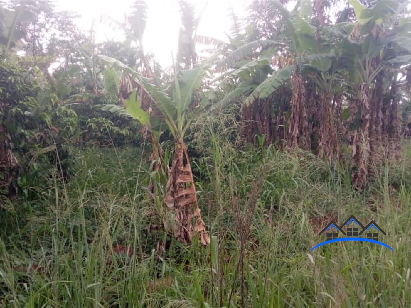 Residential Land for sale in Kikyuusa Wakiso