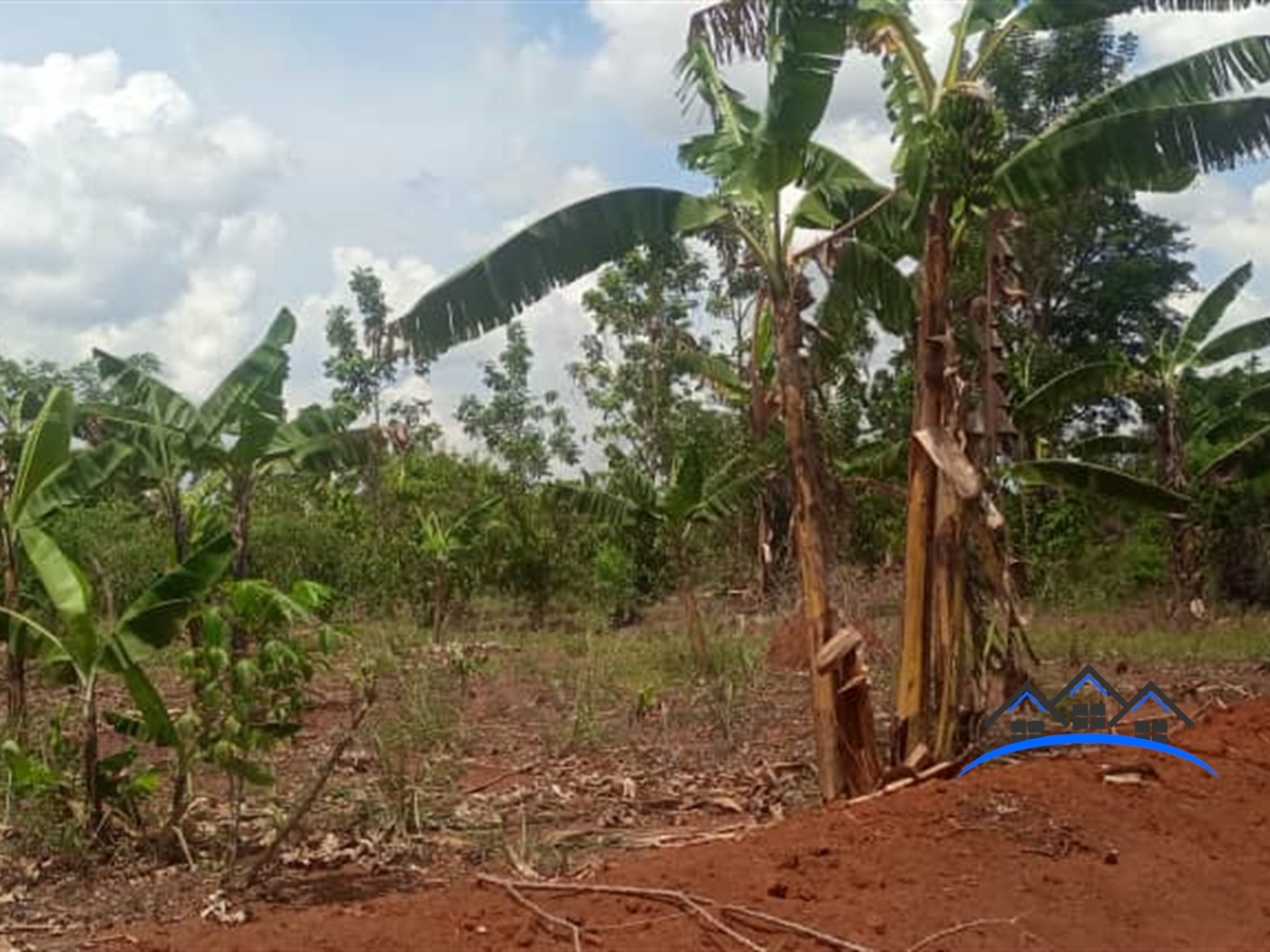 Agricultural Land for sale in Ziloobwe Luweero