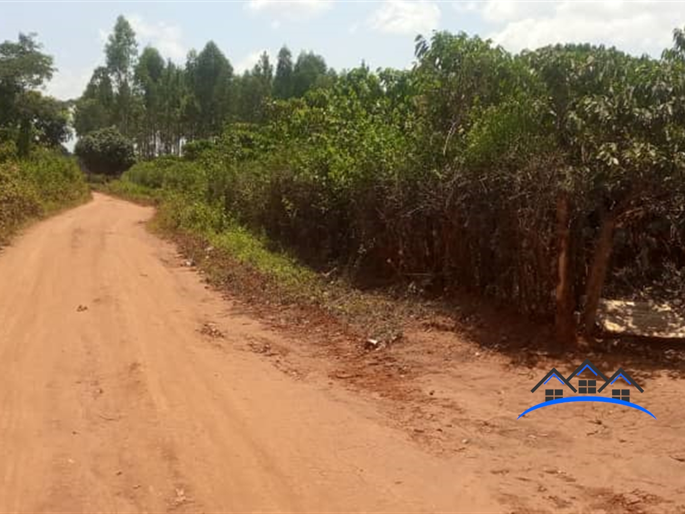 Agricultural Land for sale in Ziloobwe Luweero