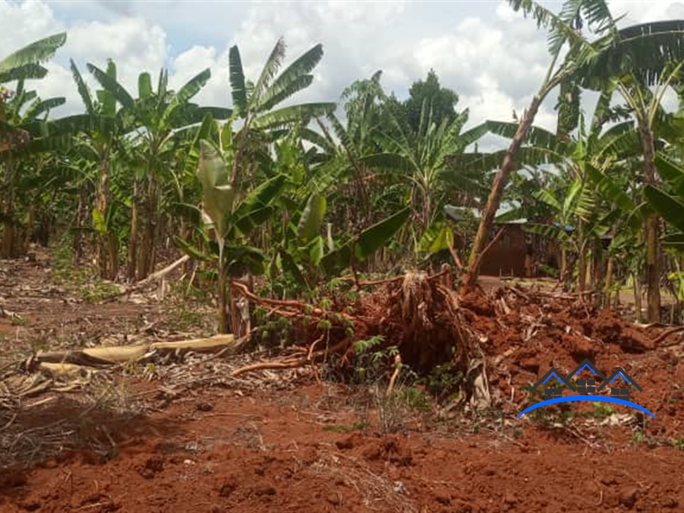 Agricultural Land for sale in Ziloobwe Luweero