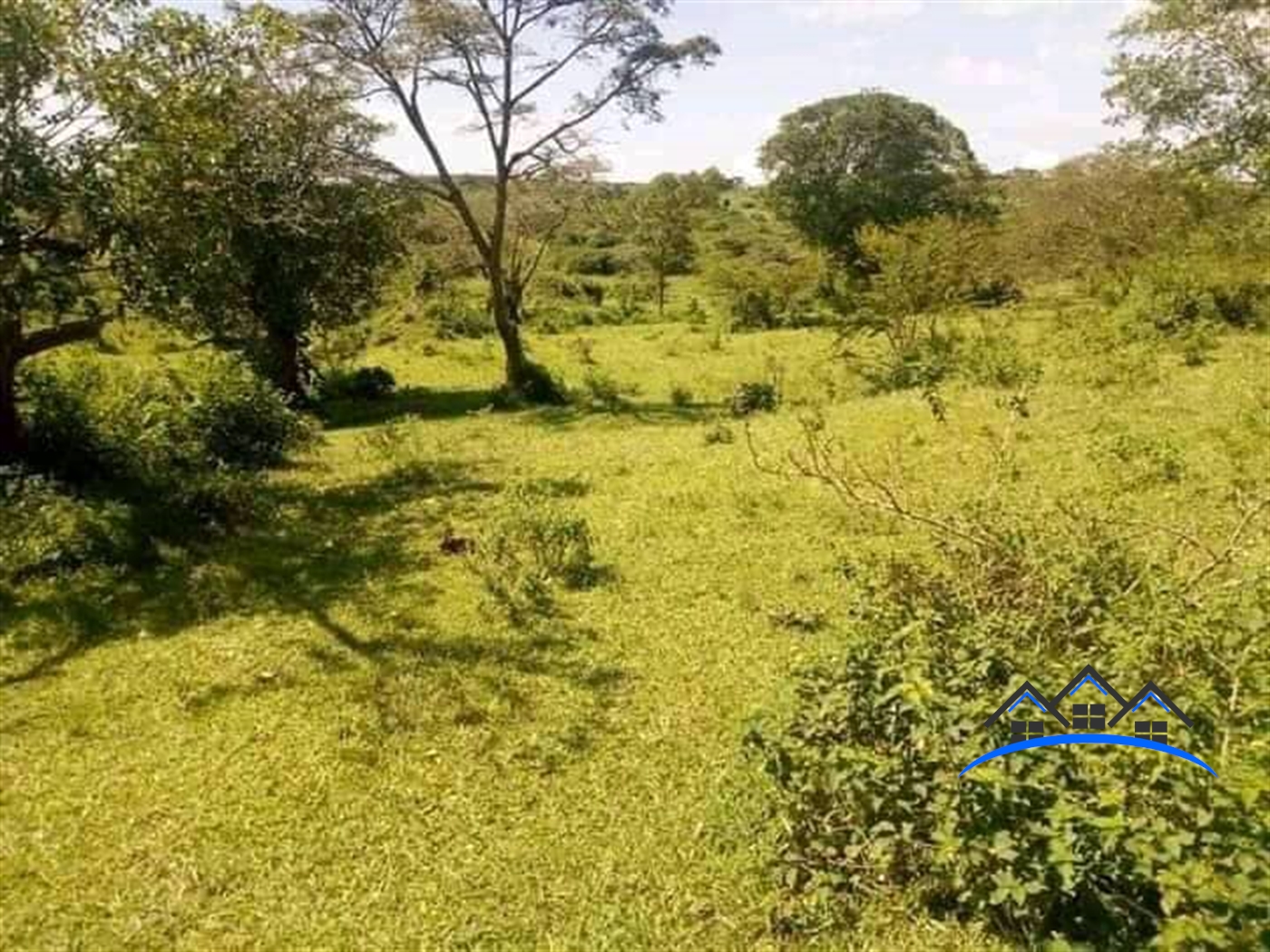 Agricultural Land for sale in Kakungube Mubende