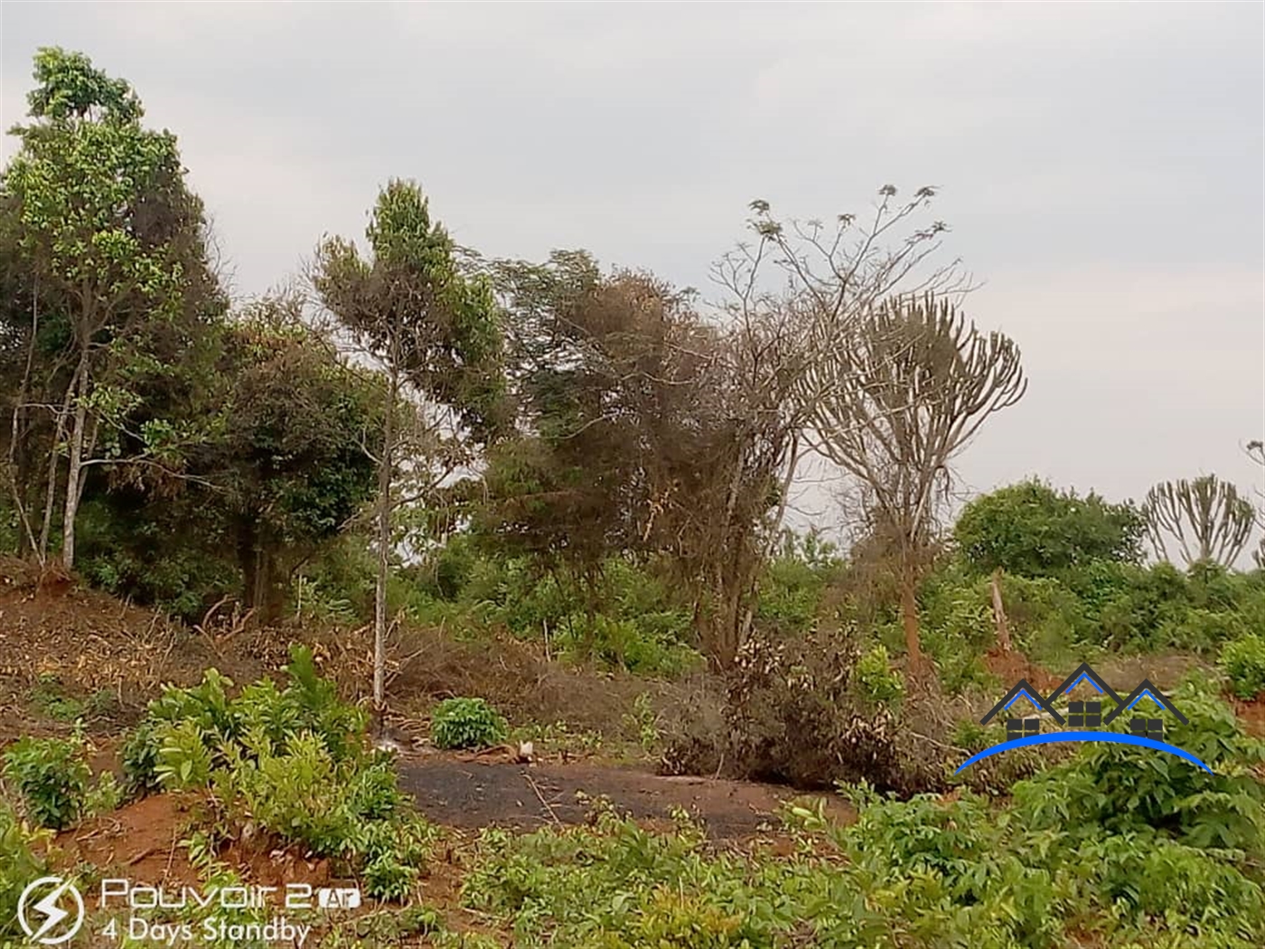 Agricultural Land for sale in Lwamawungu Nakaseke