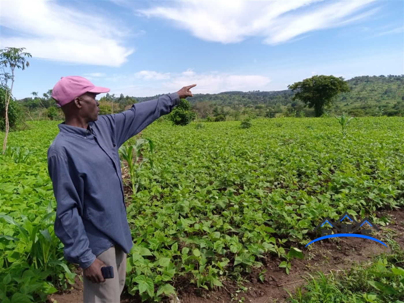 Agricultural Land for sale in Kyakatebe Mityana