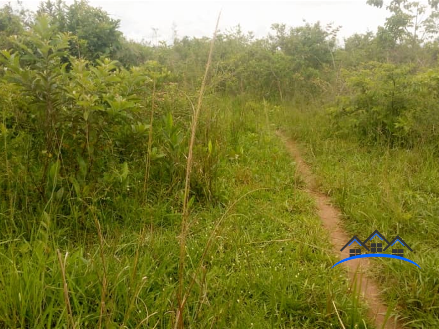 Agricultural Land for sale in Kamila Luweero