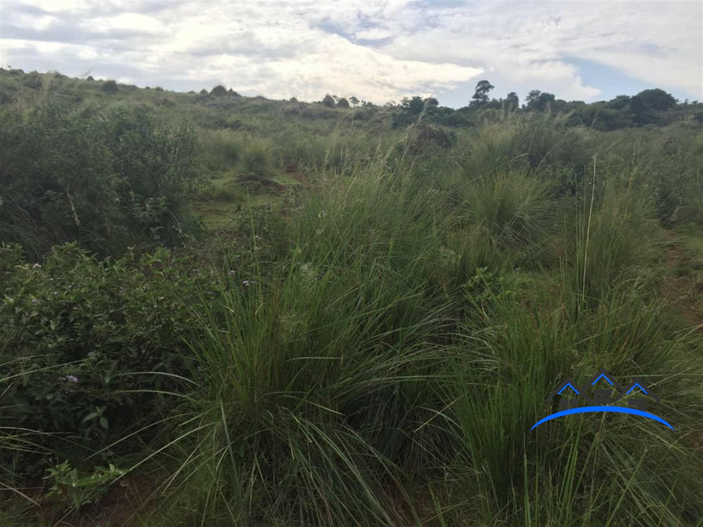 Recreational Land for sale in Lwajiisland Kalangala