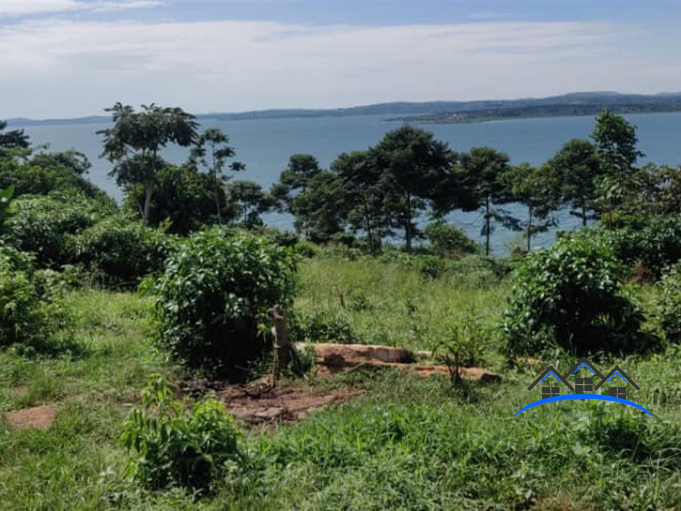 Agricultural Land for sale in Nkokonjeru Buyikwe