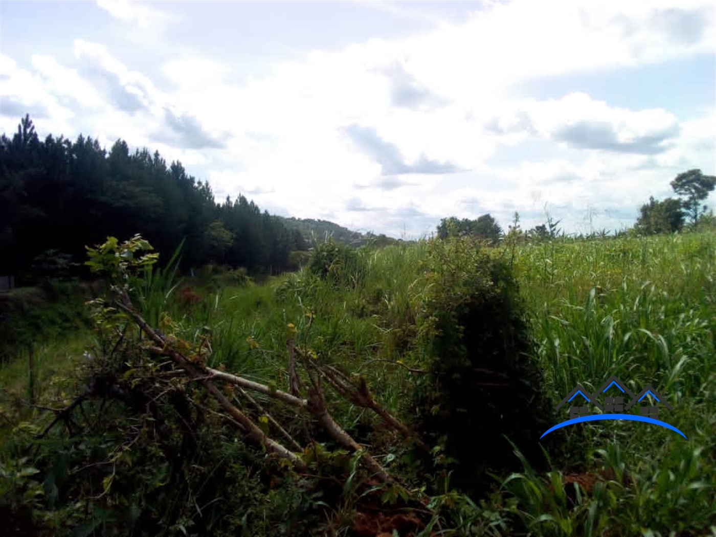 Agricultural Land for sale in Busujju Mityana