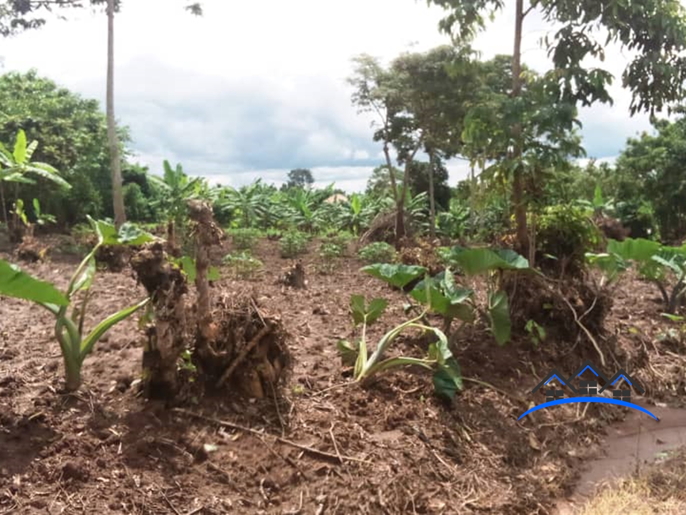 Residential Land for sale in Gayaza Wakiso