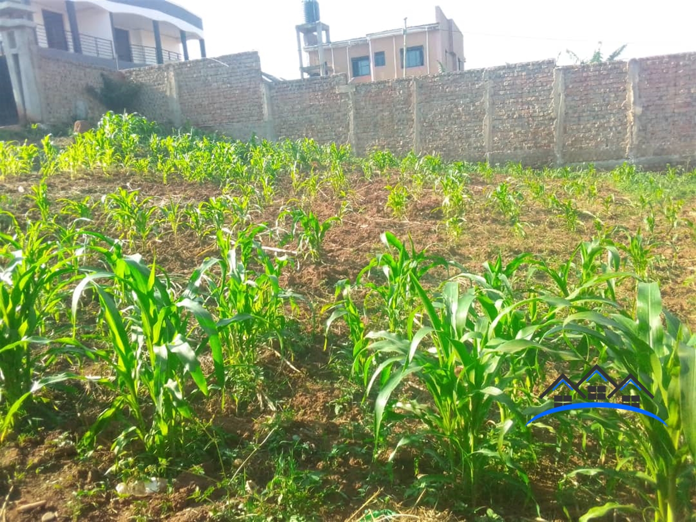 Residential Land for sale in Namugongo Wakiso